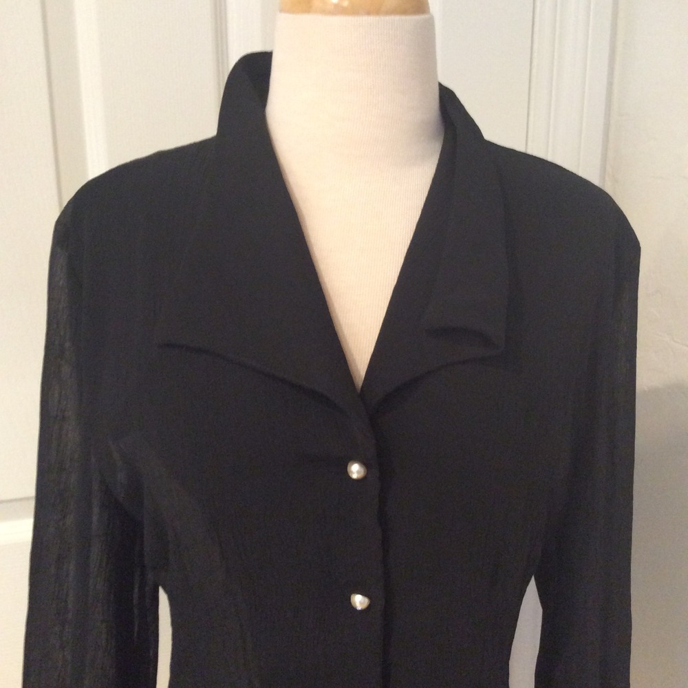 Modacor Sheer Blouse - Picture 2 of 4